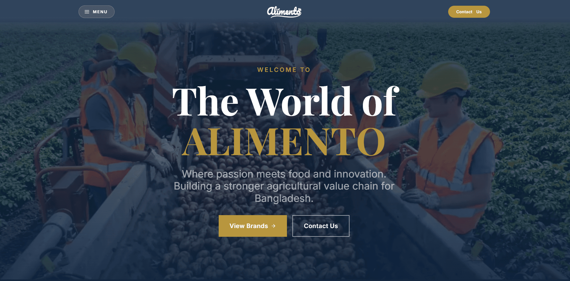 Website for Alimento Limited